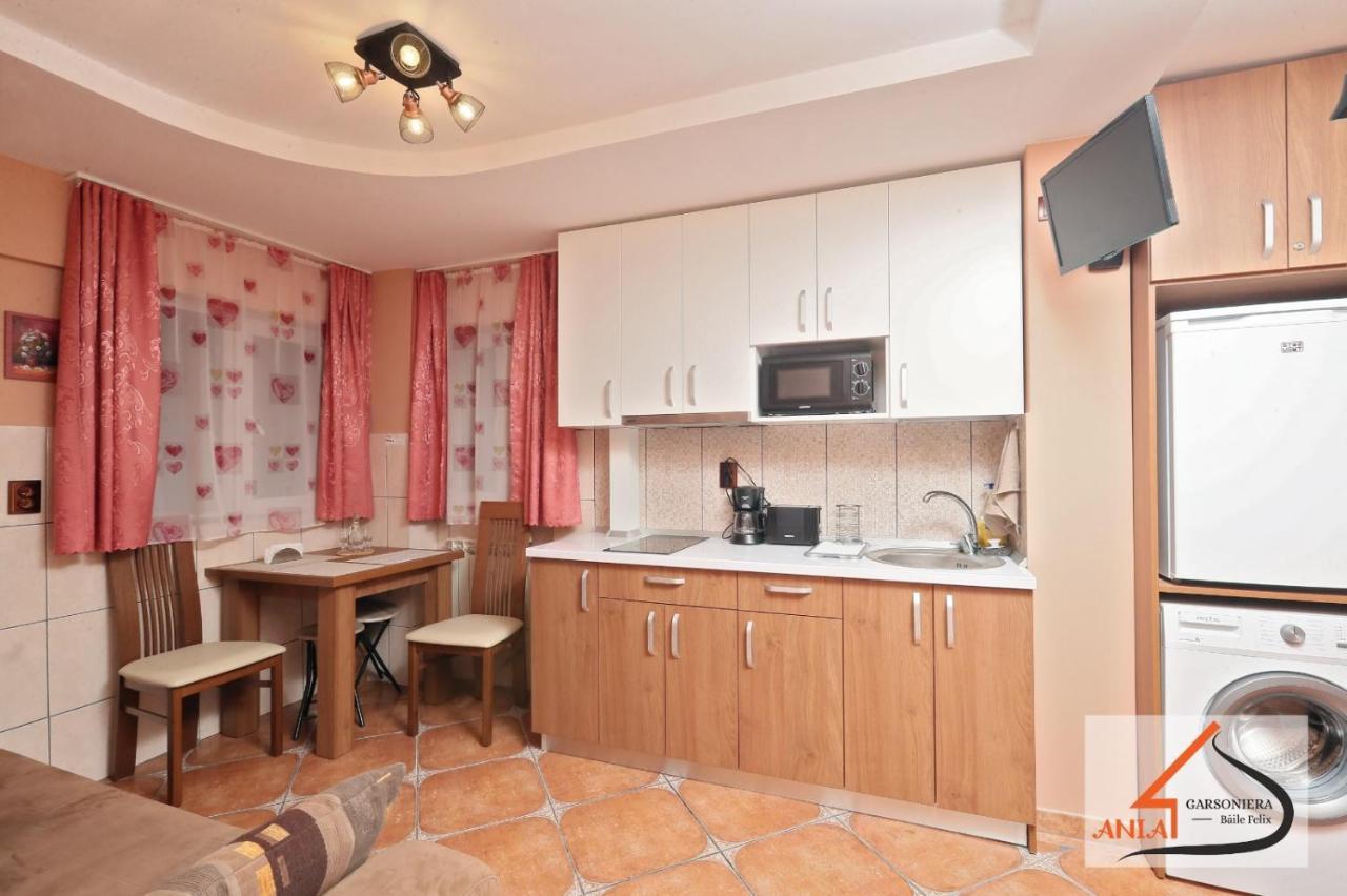 Garsoniera Ania Baile Felix Appartement Buitenkant foto