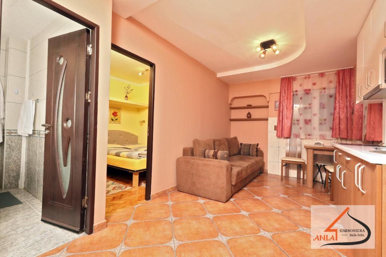 Garsoniera Ania Baile Felix Appartement Buitenkant foto